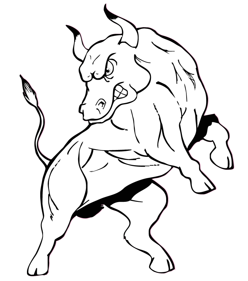 Black-n-White-Bull